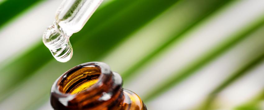 زيت شجرة الشاي