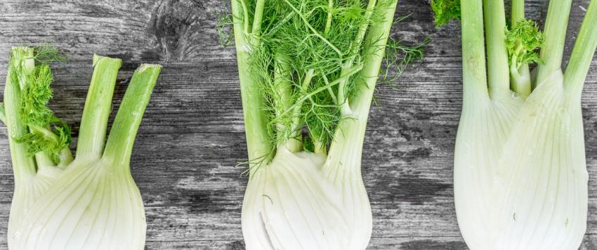 6 من فوائد الشمر وبذور الشمر الصحية والمثبتة علميًا