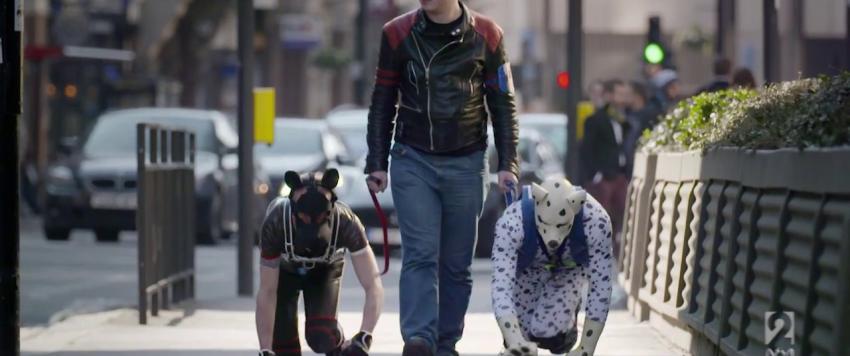 الكلاب البشرية