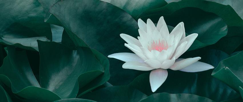 دعاء اليوم العشرين من رمضان