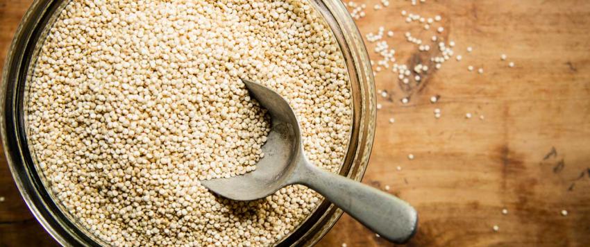 فوائد الكينوا