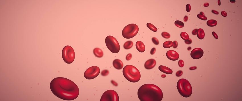 الثلاسيميا 