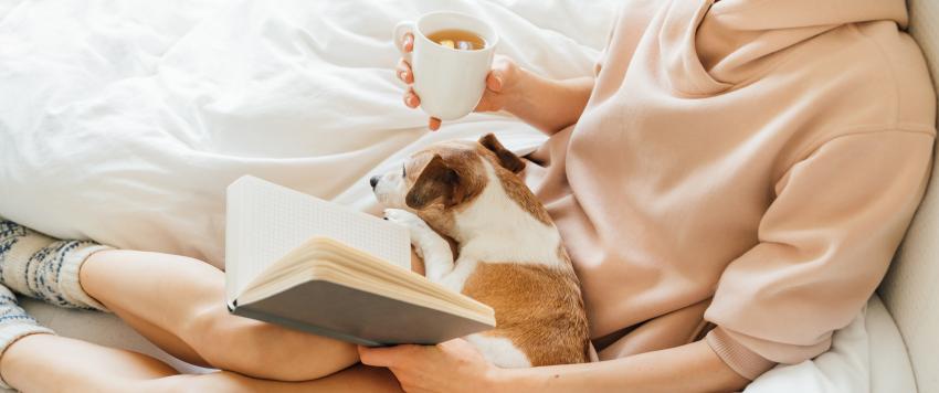 كيف تحققين أقصى استفادة من الحجر المنزلي؟