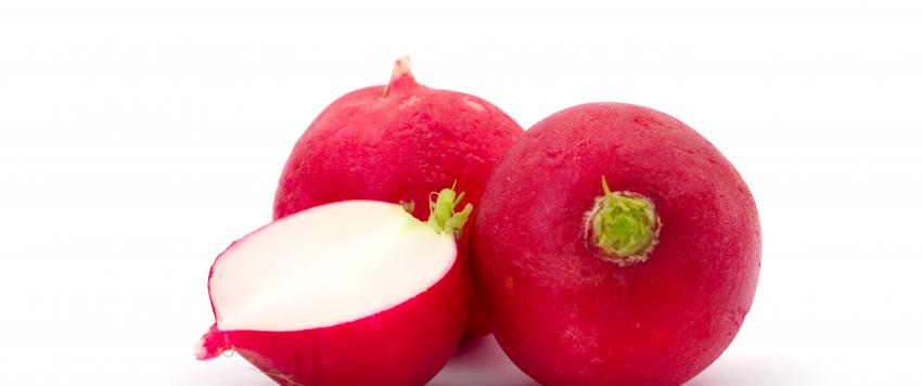 فوائد الفجل