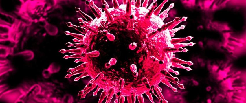 العلماء يحذرون: 850 ألف فيروس غير مكتشف في الحيوانات يمكن أن يصيب البشر