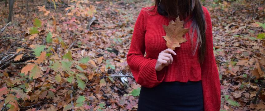 مجموعة خريف 2020