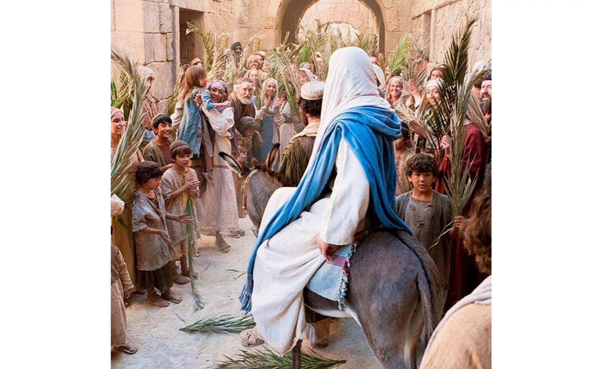 كارين سلامة