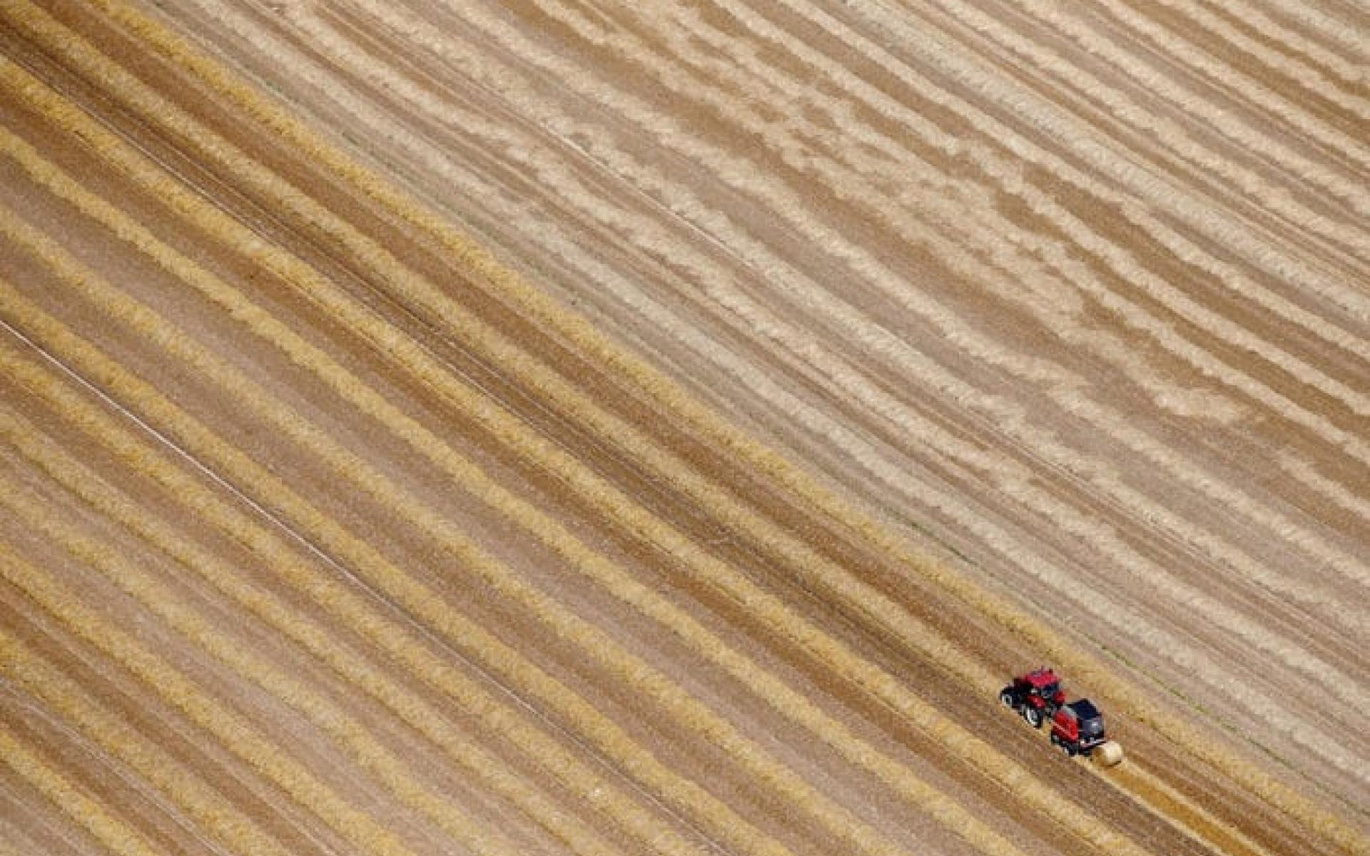 أرض زراعية في فرنسا