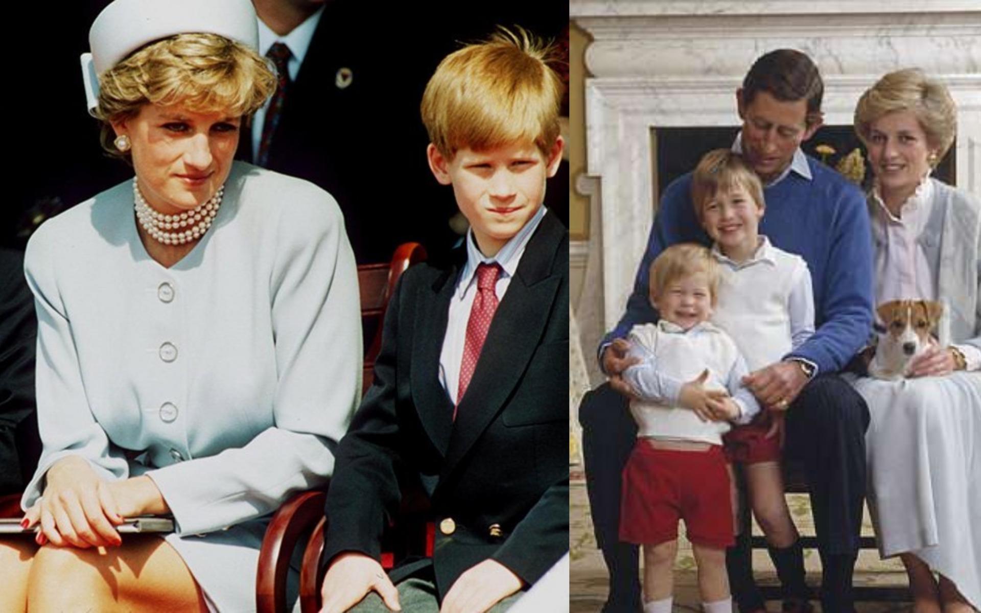 أنجبت الأميرة بصورة طبيعية الابن والوريث الأول لها ولتشارلز واسموه ويليام، أما الإبن الثاني فأسموه هنري