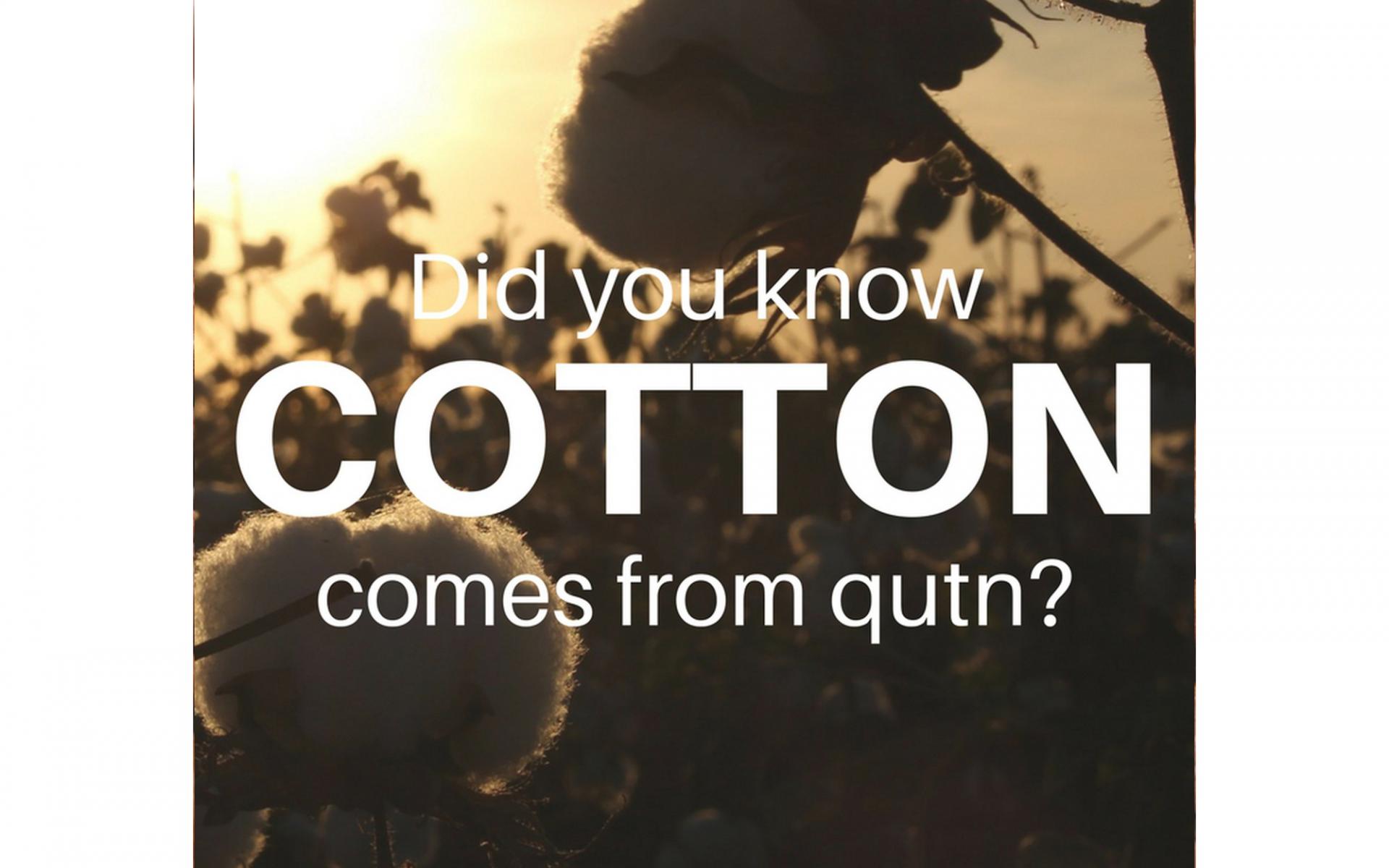 Cotton - قطن
